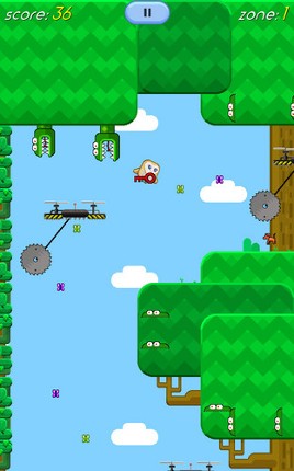 FlapQuest Image