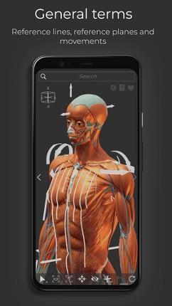 Z-Anatomy - Open Source 3D Atlas Image