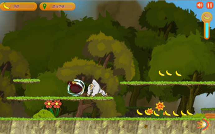 Jungle Run Image