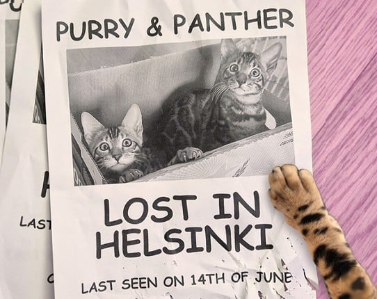 Purry & Panther: Lost in Helsinki Game Cover