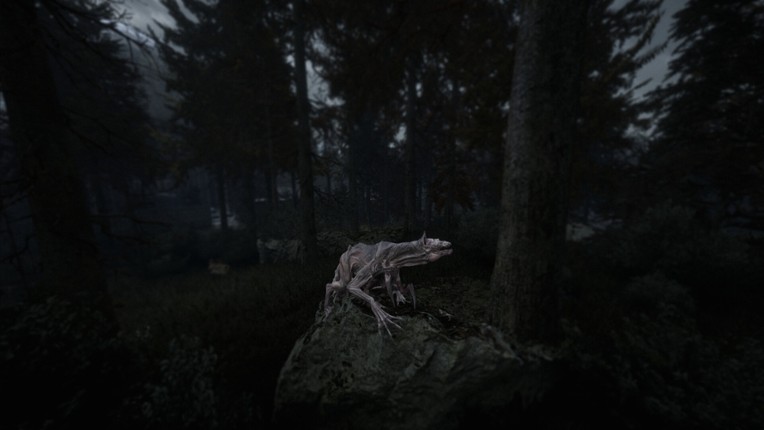 Beautiful Light screenshot