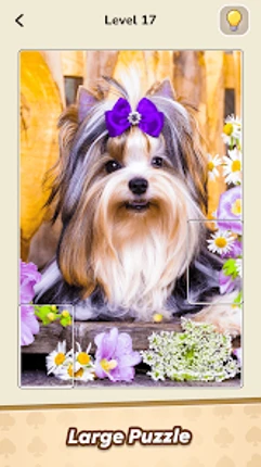 Jigsolitaire Master Puzzle Image