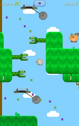 FlapQuest Image