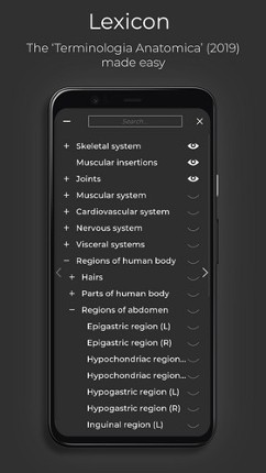 Z-Anatomy - Open Source 3D Atlas screenshot