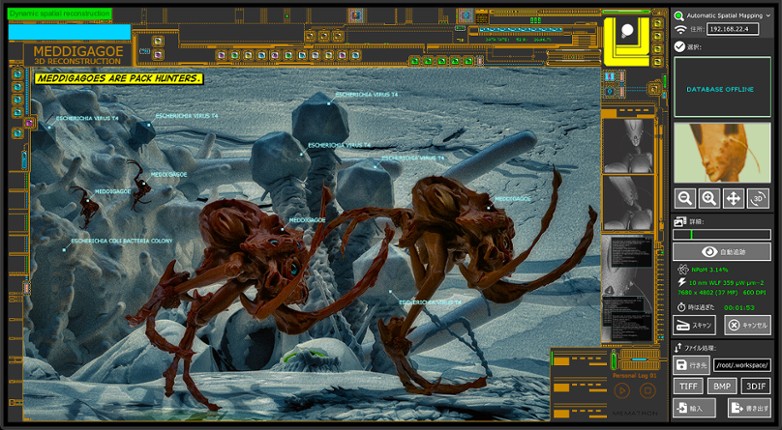 Integument screenshot