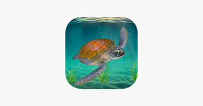 Sea Turtle Survival Sim Games Image