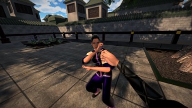 Dragon Fist: VR Kung Fu Image