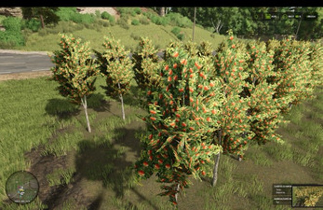 FS25 Hutan Pantai Real Orchards - Multifruit BETA screenshot