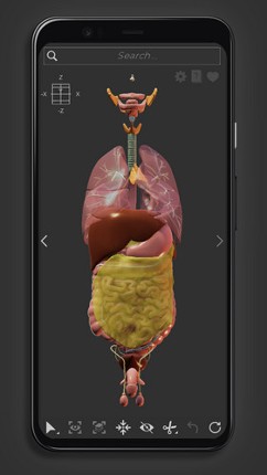 Z-Anatomy - Open Source 3D Atlas screenshot