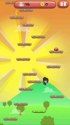 Ninja Leap Image