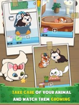 Pet House 2 - Cat and Dog Image