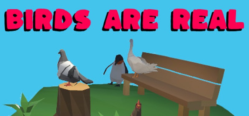 Birds Are Real Image