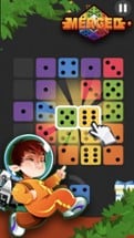 Dominoes Block Puzzle Image