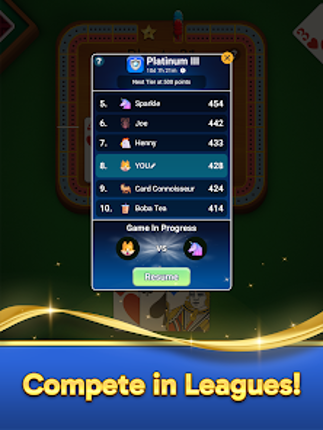 Cribbage Daily: Card Game screenshot