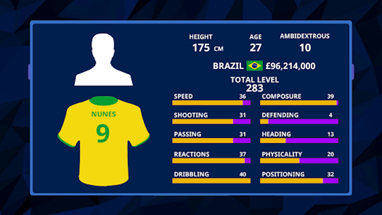International Football Sim screenshot