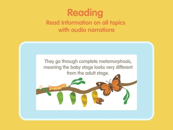 Insects and Bugs for kids Image