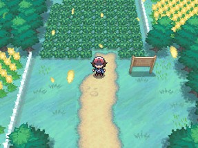 Pokémon Black Image