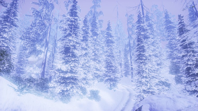 The Cabin: VR Escape the Room screenshot