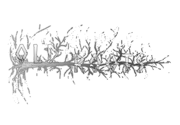 Old Roots Image
