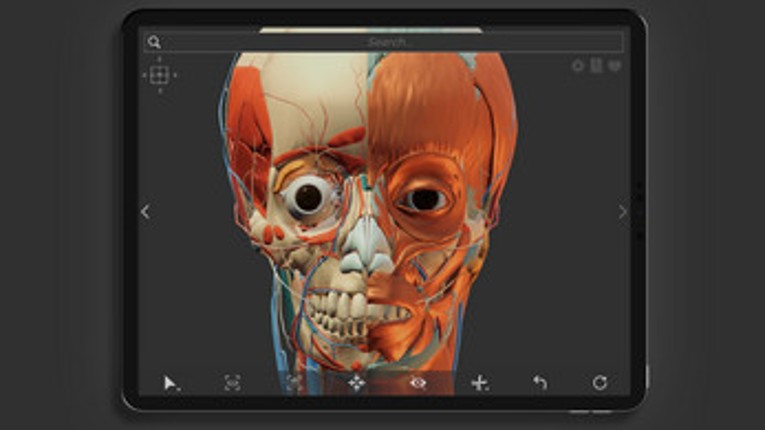 Z-Anatomy - Open Source 3D Atlas screenshot