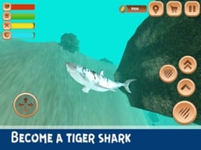 Giant Tiger Shark Simulator 3D Image