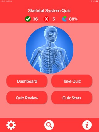 Human Skeletal System Trivia screenshot