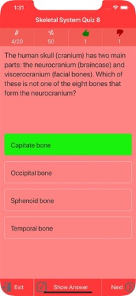 Human Skeletal System Trivia Image