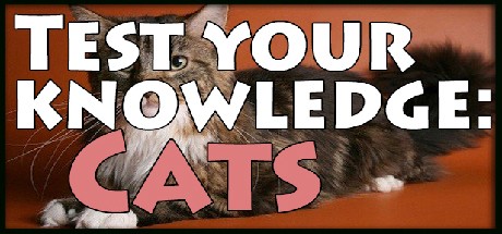 Games like Test your knowledge: Cats