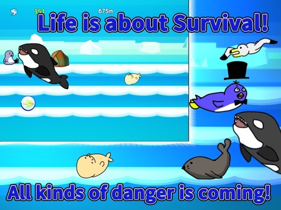TOBOGAN-PENGUINSRUN- Image