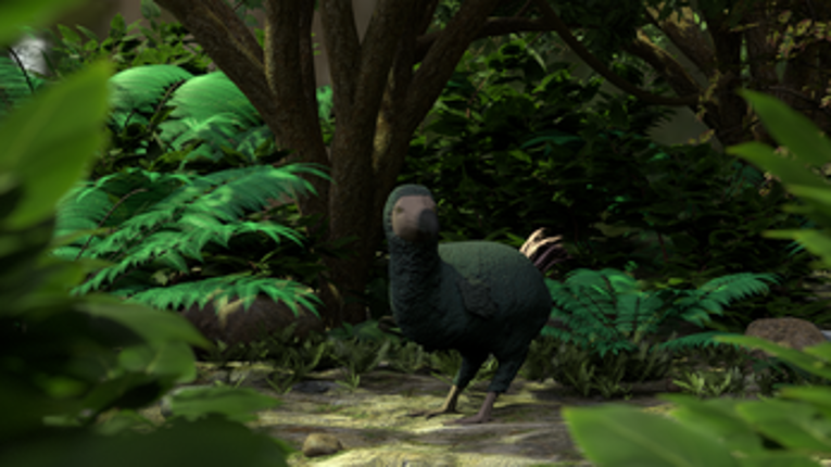Fieldwork Image