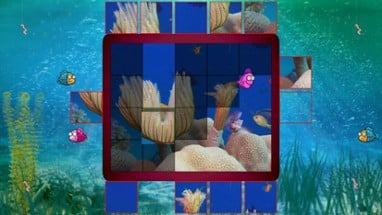 Blind Fishes Image