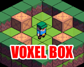 Voxel Box Image