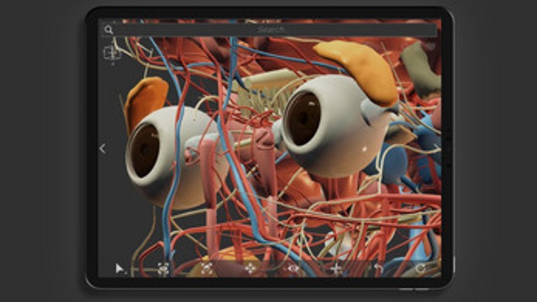 Z-Anatomy - Open Source 3D Atlas screenshot