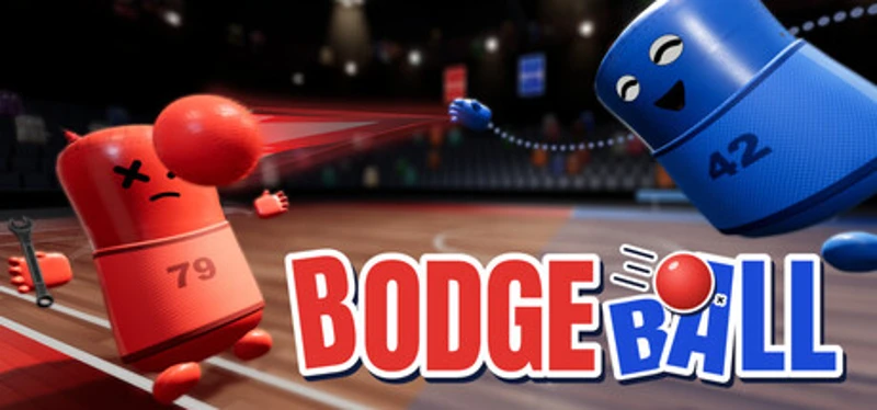 BodgeBall Image