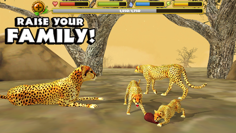 Cheetah Simulator screenshot
