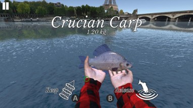 Fishing Universe Simulator Image