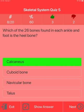 Human Skeletal System Trivia Image