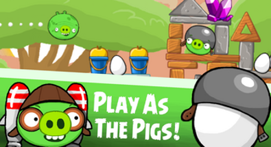 Angry Birds Project R Image