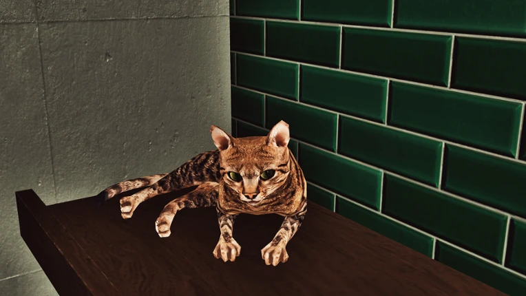 Billiard Cat Image