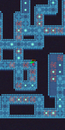 Costa dos Corais Image