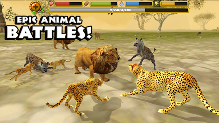 Cheetah Simulator Image