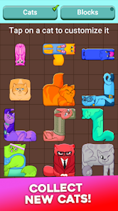 Puzzle Cats Image