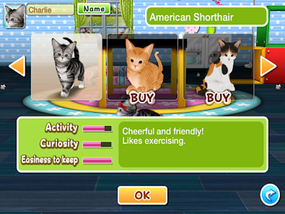 My Cat My Room Image