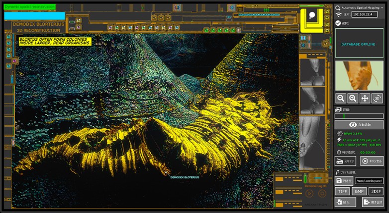 Integument screenshot