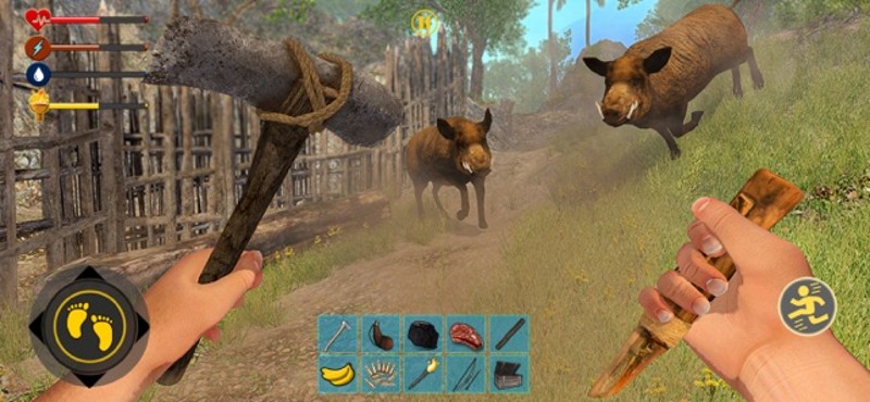 Last Island Survival Game Image