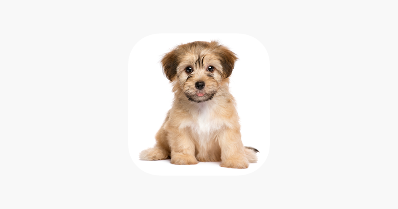 Puppy Pet Jigsaw Puzzle Cute Dog Animal Kids Games Image