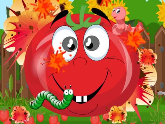 Tomato Explosion Image