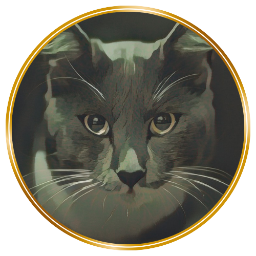 Games like 150 tokens pour Cats