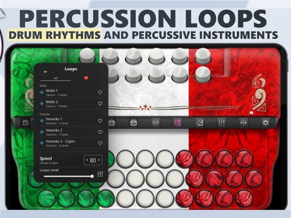 Accordion Diatonic Melodeon screenshot