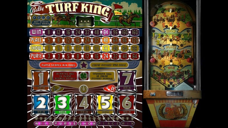 Bingo Pinball Gameroom screenshot